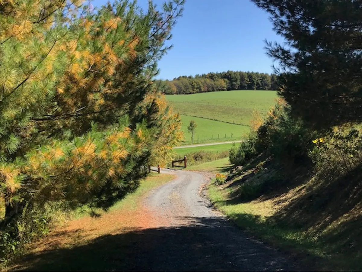 A scenic gravel road winds through lush green fields, framed by trees, suggesting easy access to hiking and nature exploration. The gentle landscape evokes nearby parks and trails, reinforcing the spirit of family-friendly outdoor adventure described in the section.